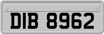 DIB8962