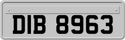 DIB8963