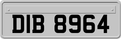 DIB8964