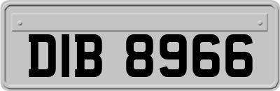 DIB8966