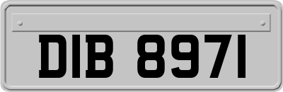 DIB8971