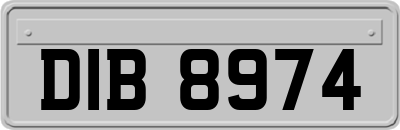 DIB8974