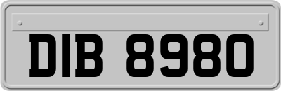 DIB8980