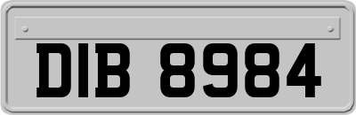 DIB8984