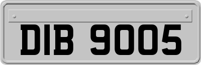 DIB9005
