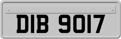 DIB9017