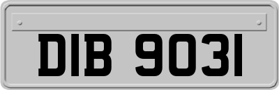 DIB9031