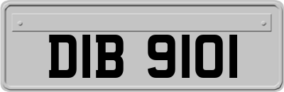 DIB9101