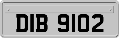 DIB9102