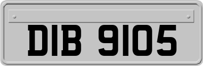DIB9105