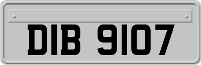 DIB9107