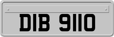 DIB9110