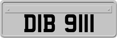 DIB9111