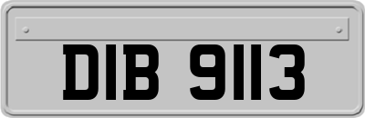 DIB9113
