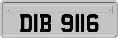 DIB9116