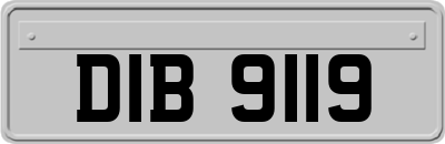 DIB9119