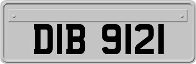 DIB9121
