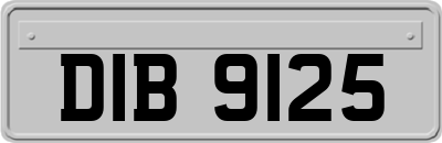 DIB9125