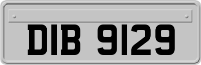 DIB9129