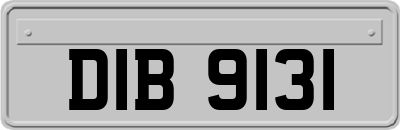 DIB9131