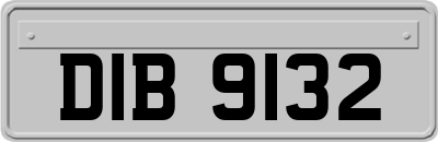 DIB9132