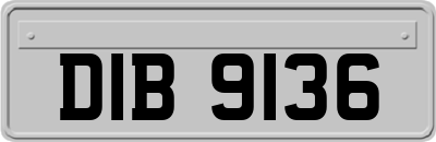DIB9136