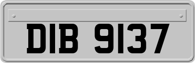 DIB9137