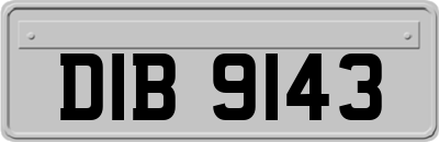 DIB9143