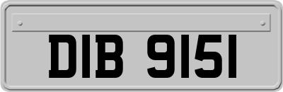 DIB9151