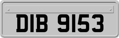 DIB9153