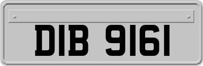 DIB9161