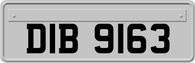 DIB9163