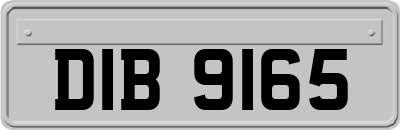 DIB9165
