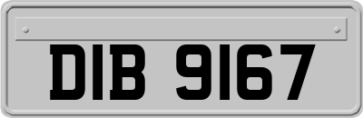 DIB9167