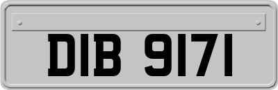 DIB9171