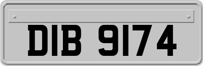 DIB9174