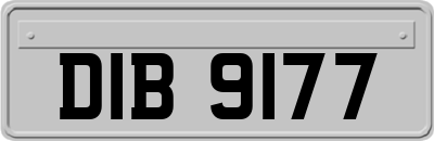 DIB9177