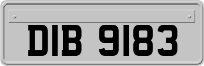 DIB9183