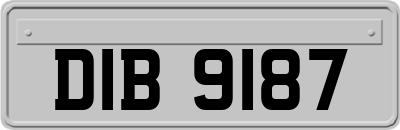 DIB9187