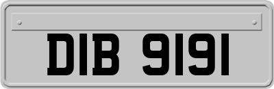 DIB9191