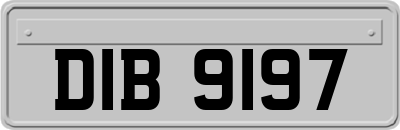 DIB9197