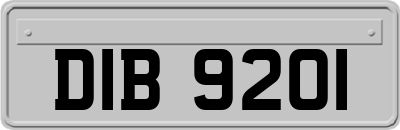 DIB9201