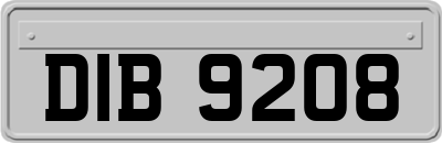 DIB9208