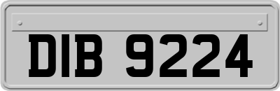 DIB9224