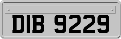 DIB9229