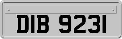 DIB9231