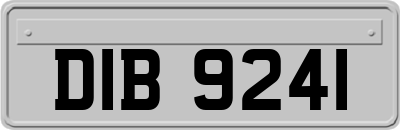 DIB9241