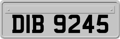 DIB9245