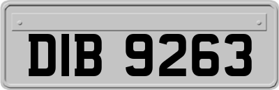 DIB9263