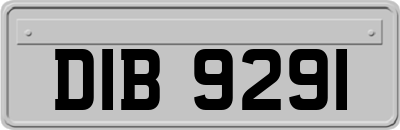 DIB9291